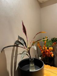 -美玫美容SPA护理中心