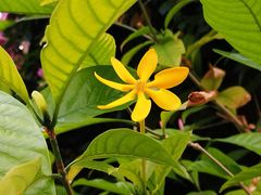 -北京植物园-展览温室