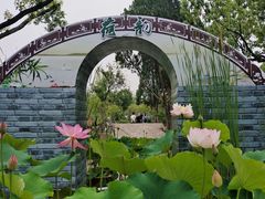 -无锡蠡湖国家湿地公园-蠡园