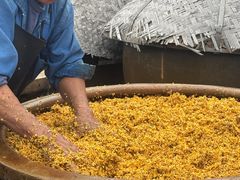 -苏州市吴中区光福窑上花果蜜饯厂