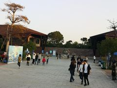 -广东惠东海龟国家级自然保护区
