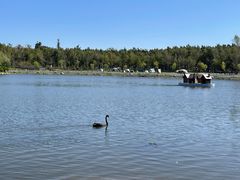 -长春市南湖公园