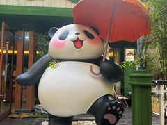 -轩客会(熊猫书店)