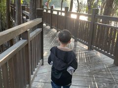 -东湖落雁景区