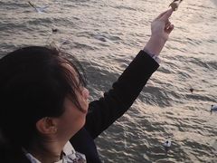-洱海月湿地公园
