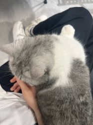 -極致刺青TATTOO STUDIO 私人订制