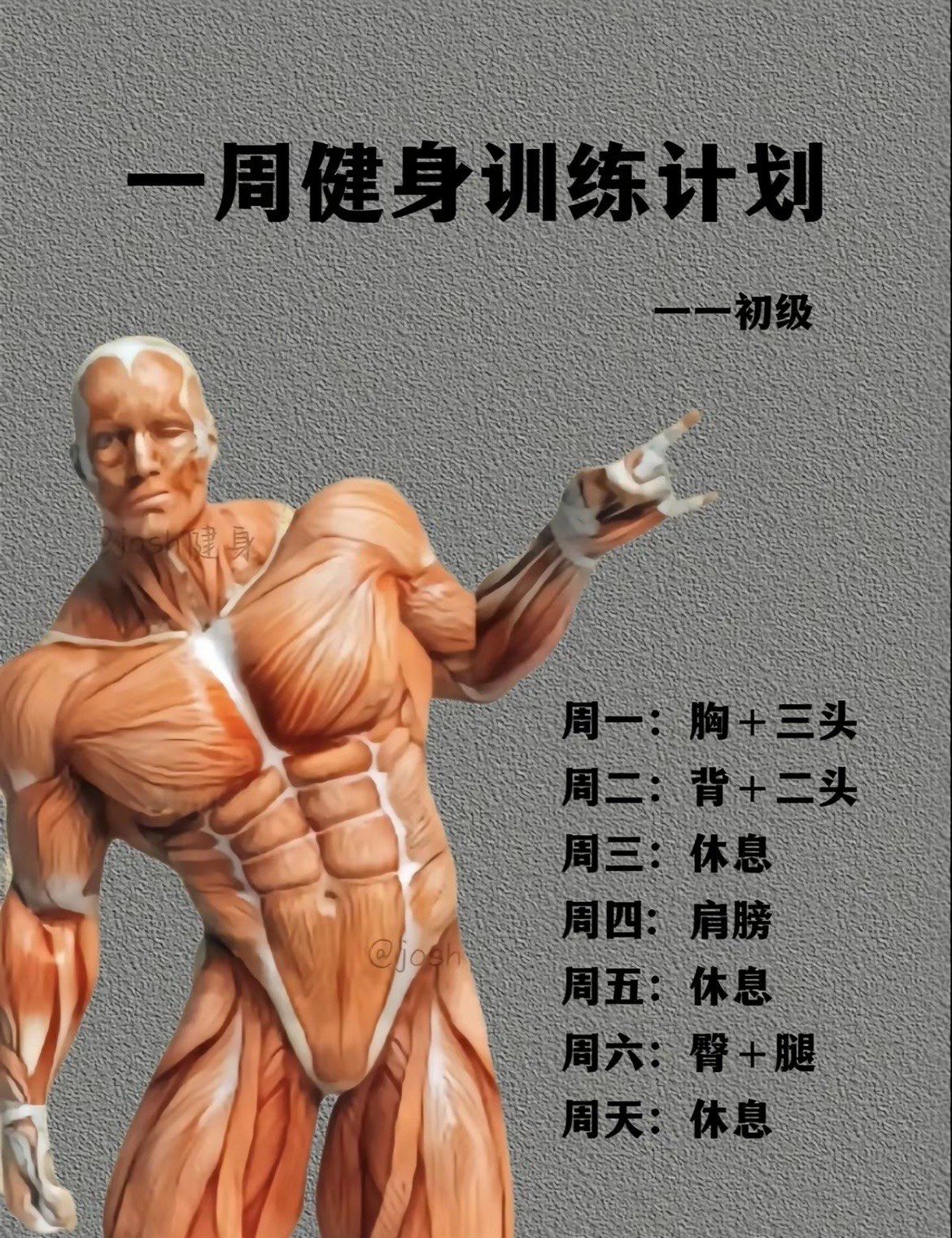 健身训练动作安排参考-初级