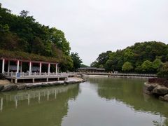 -广州市帽峰山景区