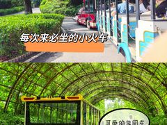 -济南野生动物世界