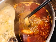 -老翡翠 Old Crystal Jade Restaurant
