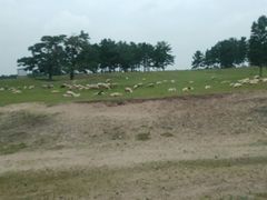 -诺干湖景区
