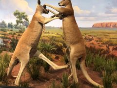 -陕西自然博物馆