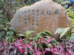 -晓港公园