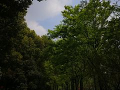-金鸡湖桃花岛