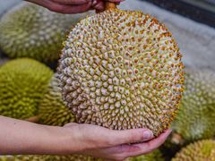 -开皇马来西亚榴莲美食店(华强北店)