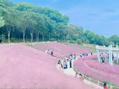-牛岗山公园