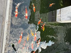 -长春观