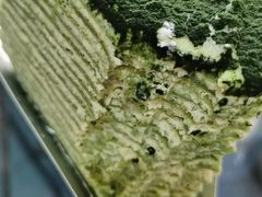 -冶春茶社(星汉大厦店)