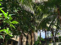 -海南清水湾莱佛士酒店