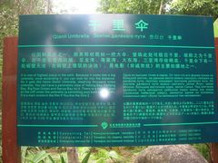 -三亚亚龙湾人间天堂鸟巢度假村