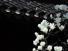 -龙华寺