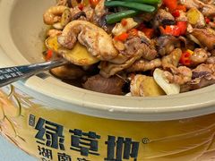 -绿草地·湘菜(芙蓉天街店)