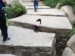 -碓臼峪自然风景区