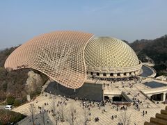 -牛首山文化旅游区