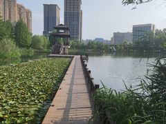 -洋湖国家湿地公园