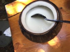 -万兴启丰椰子文化园餐厅