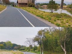 -良渚古城遗址公园
