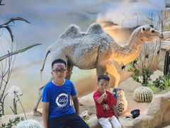 -西霞口神雕山野生动物世界