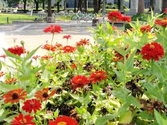 -同济大学(嘉定校区)