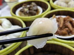 -肥佬夜茶(早茶·西乡店)