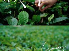 -宝晶宫旅游景区