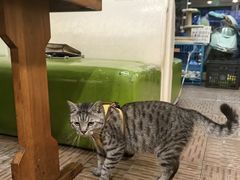 -花园街6号(千禧店)
