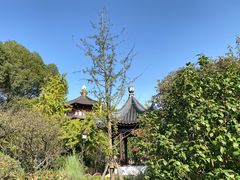 -枫桥景区