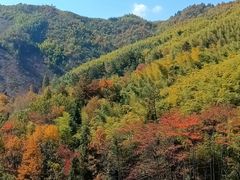 -东天目山风景区