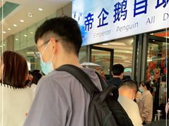 -帝企鹅自助餐厅•儿童岛•真企鹅(长隆企鹅酒店)