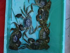 -蟹天蟹地农家菜·阳澄湖大闸蟹(浅水湾店)