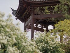 -和平公园