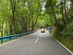 -峨眉山报国寺