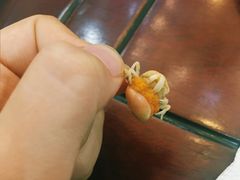 -乔家小院•本地小海鲜•非遗驴肉(万年泉路店)