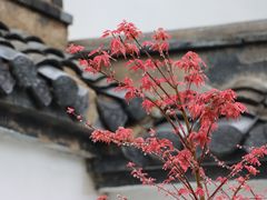 -清晏园