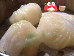 糖朝-糖朝(尖沙咀店)