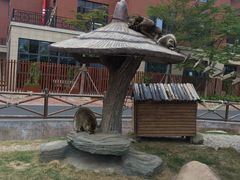 -灵玲国际马戏城