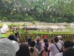 -广州长隆飞鸟乐园