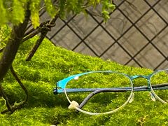 -大视光学•LINDBERG林德伯格•全球手工眼镜集合店(王府井店)