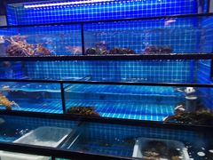 水产区-吉友粥底火锅(方斜路店)