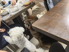 -小桃园餐厅